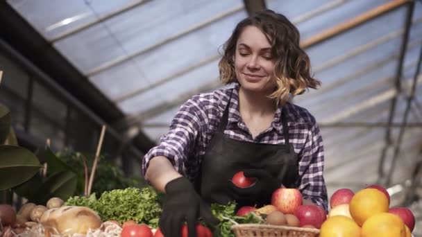 Vue en angle bas d'une belle agricultrice souriante en gants noirs qui organise des aliments biologiques sur le marché agricole debout à l'intérieur dans une serre spacieuse. Personnes, concept de récolte et de magasinage — Video