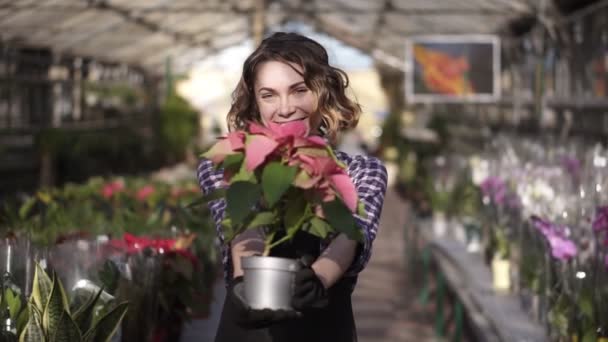 Ritratto di donna fiorista che lavora in una serra soleggiata piena di piante in fiore, che tiene una bella pianta in una pentola e sorride allegramente a una macchina fotografica. Righe di fiori in fiore sullo sfondo — Video Stock
