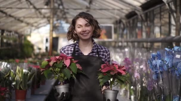 Front view of a beautiful woman working in sunny greenhouse full of blooming plants, walking with two pots plants in hands and cheerfully smiling to a camera. Rows of blooming flowers on the — 비디오