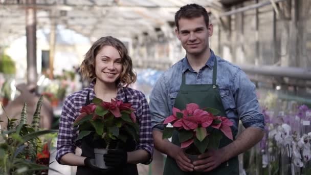 Portrait of a beautiful woman and handsome guy working in sunny greenhouse full of blooming plants, standing with pots plants in hands and cheerfully smiling to a camera. Rows of blooming flowers on — Stok video