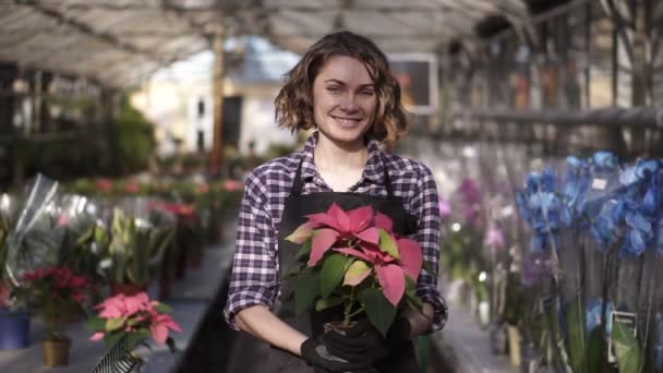 Portret van een bloemistenvrouw die werkt in een zonnige kas vol bloeiende planten, mooie plant in een pot vasthoudt en vrolijk glimlacht naar een camera. Rijen bloeiende bloemen op de achtergrond. Langzaam. — Stockvideo