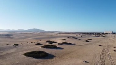 Atlantik Okyanusu 'nda sabah ışığında küçük çalıları olan boş kumlu bir plajın panoramik görüntüsü. Plaj boyunca alçaktan uçuyor ve okyanusu seyrediyor. Yumuşak güneş ışığı