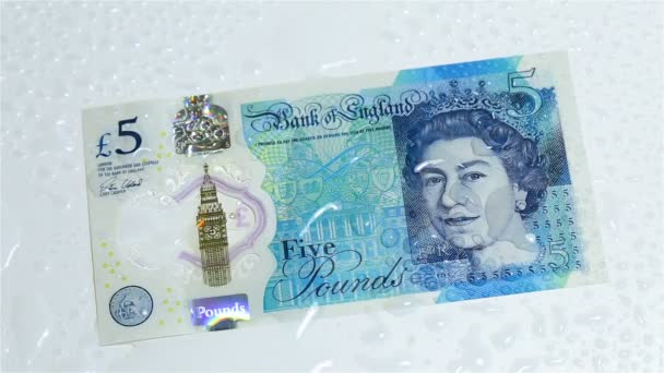 水の抵抗の新しいプラスチック 5 ポンド紙幣をチェックします。英ポンドのクローズ アップ. — ストック動画