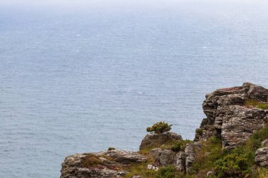South West Coast yol umut Cove, Bolberry ve polis uçmak, Devon, İngiltere