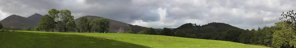 Schafe grasen auf grünen Wiesen mit Berg im Hintergrund in der Seenlandschaft — Stockfoto