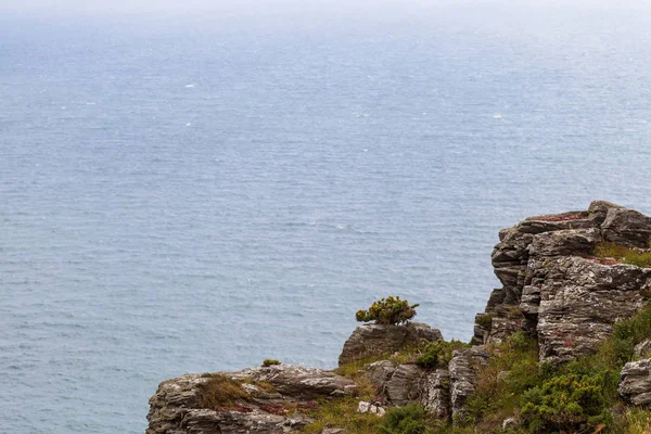 A South West Coast Path remény Cove, a Bolberry és a rendőr felszáll, Devon, Anglia, Egyesült Királyság — Stock Fotó