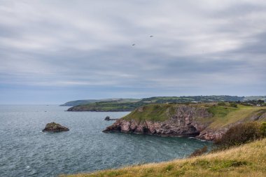 Berry kafa, Güney Batı kıyısında yolun, Devon, İngiltere