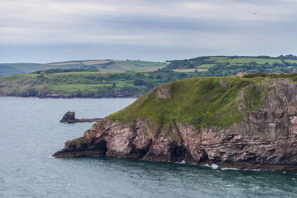 Berry Head, de South West Coast Path, Devon, Verenigd Koninkrijk — Stockfoto