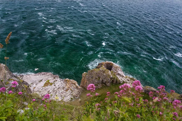 Berry kafa, Güney Batı kıyısında yolun, Devon, İngiltere