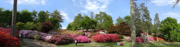 Люди отдыхают среди цветущих азалий в аквапарке Вирджинии, The Punchbowl, The Valley Gardens, Великобритания. Май 2009 . — стоковое фото