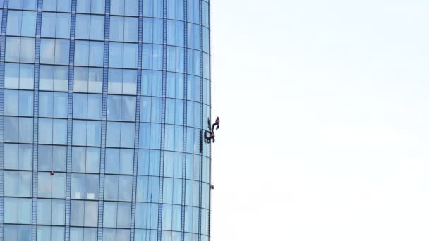 Δύο βιομηχανικοί ορειβάτες καθαρίζουν γυάλινη πρόσοψη σύγχρονου κτιρίου γραφείων στο κέντρο της πόλης. — Αρχείο Βίντεο