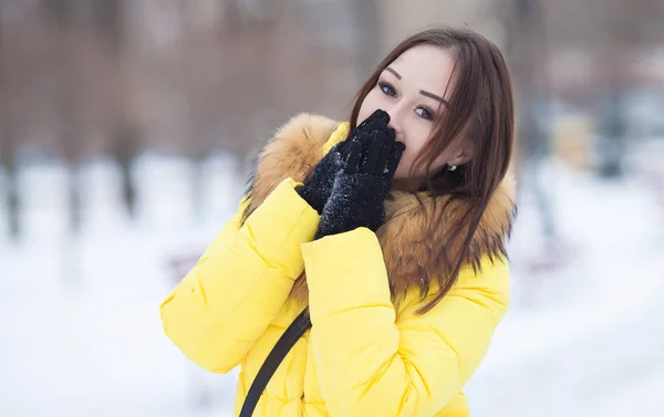 Gyönyörű téli portré fiatal nő a téli havas táj. Gyönyörű lány téli ruha. Fiatal nő portréja. szépség lány az elmosódott háttér — Stock Fotó