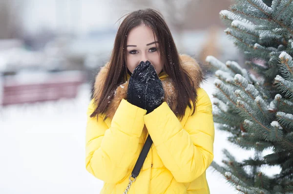 Portré, fiatal nő közelében fenyő télen. Női portré. Nő a sárga téli kabát. — Stock Fotó