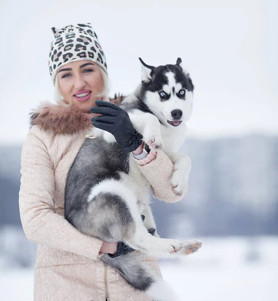 Glada Leende Kaukasiska Blond Kvinna Och Hennes Husky Hunden Spela — Stockfoto