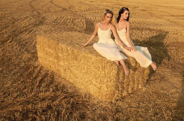 Duas mulheres jovens sexy bonitas em vestido branco em um campo dourado de trigo — Fotografia de Stock