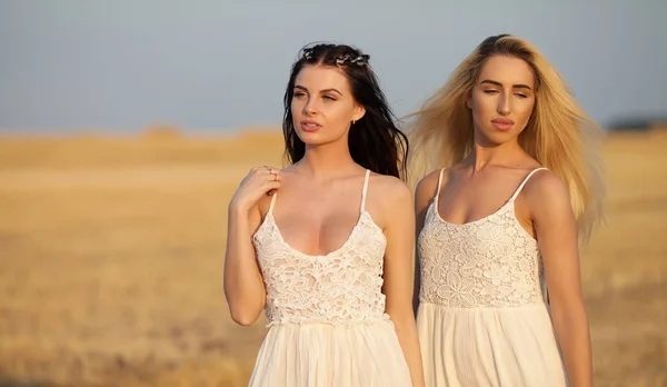 Дві красиві сексуальні молоді жінки в білій сукні в золотому полі пшениці — стокове фото