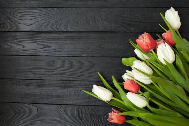 Tahta arka planda bahar laleleri çiçek açar. Lale, bahçe konsepti..