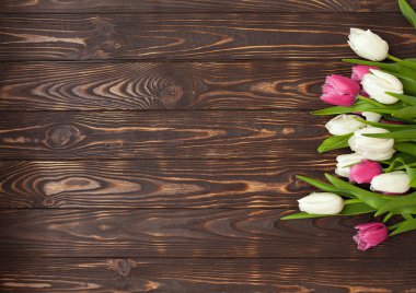 Ahşap arka plan üzerinde renkli Lale