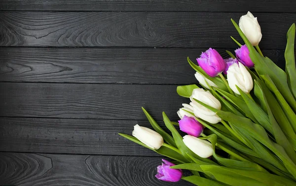 Wiosenny Kwiat Tulipanów Drewnianym Tle Tulipan Koncepcja Ogrodnictwa — Zdjęcie stockowe