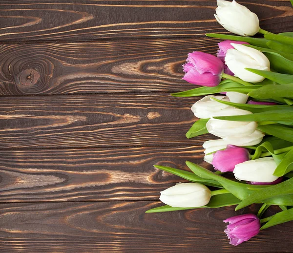 Wiosenny Kwiat Tulipanów Drewnianym Tle Tulipan Koncepcja Ogrodnictwa — Zdjęcie stockowe