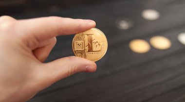 Elini altın litecoin kahverengi bir arka plan üzerinde tutuyor. İş değeri litecoin çok pahalı.