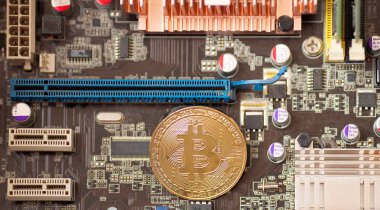 Bitcoin. Altın Bitcoin elektronik bilgisayar işlemci kartı.