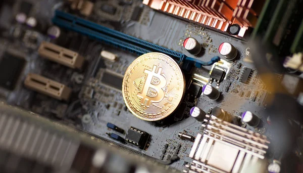 Bitcoin. Altın Bitcoin elektronik bilgisayar işlemci kartı.