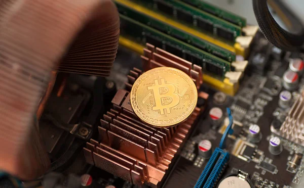 Bitcoin. Altın Bitcoin elektronik bilgisayar işlemci kartı.