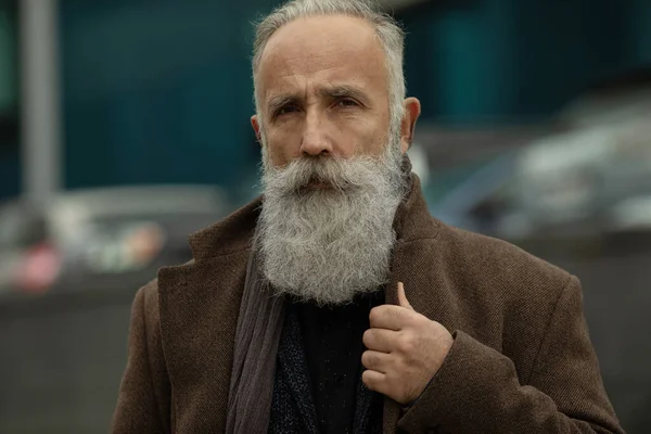 Outdoor Portrait Of Stylish Old Smiling Man With Long Grey Hipster Beard  by Stocksy Contributor VISUALSPECTRUM - Stocksy