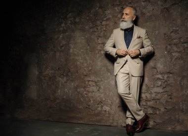 Güzel görünümlü, sakallı iş adamının portresi gri duvarda rahatça duruyor. Ciddi kıdemli işadamı başka tarafa bakıyor. Metin için boşluk. 