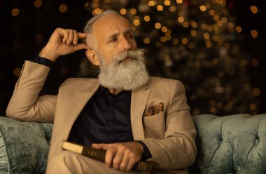 Kitap okumakla ilgiliydi. Koltukta oturan sakallı iş adamı okumakla meşgul.