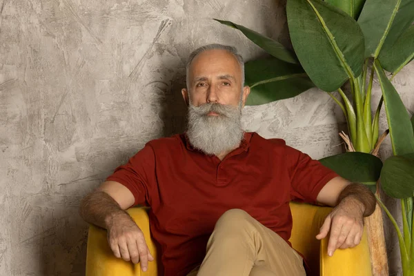 Bearded senior man  relaxing in yellow armchair.