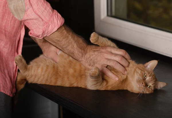 Senior Man Holding Cute Red Cat Home — Stock Photo, Image