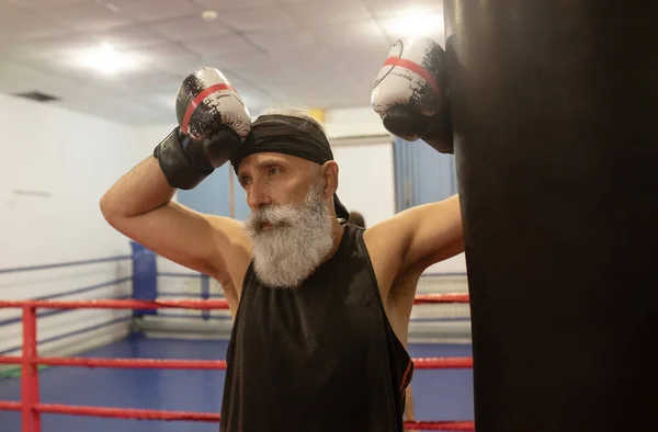 Senior male boxer ready to fight. Senior boxer in gloves boxing in gym