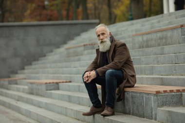 Sakallı yaşlı bir adamın portresi. Parktaki bir bankta oturuyor..