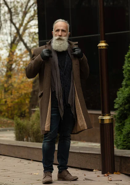 Fashionable Senior Man Gray Hair Beard Outdoors Street — Stock Photo, Image