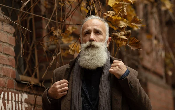 Homem Sênior Moda Com Cabelo Grisalho Barba Está Livre Rua — Fotografia de Stock