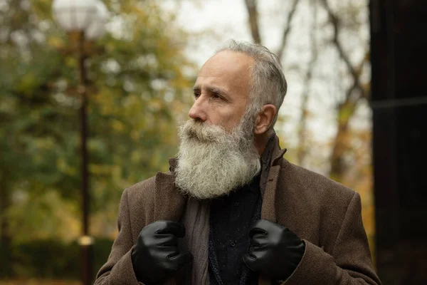 Модный Пожилой Мужчина Седыми Волосами Бородой Улице — стоковое фото