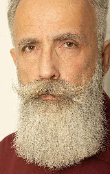 Прекрасная Борода Крупный План Старшего Бородатого Человека Стоящего Сером Фоне — стоковое фото