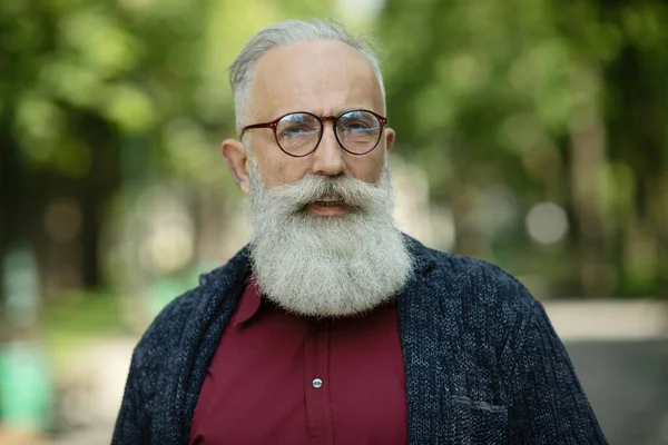 Indhold Senior Mand Med Skæg Iført Briller Udendørs - Stock-foto