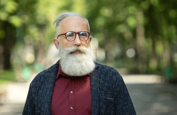 Hombre Mayor Contenido Con Barba Gafas Aire Libre —  Fotos de Stock