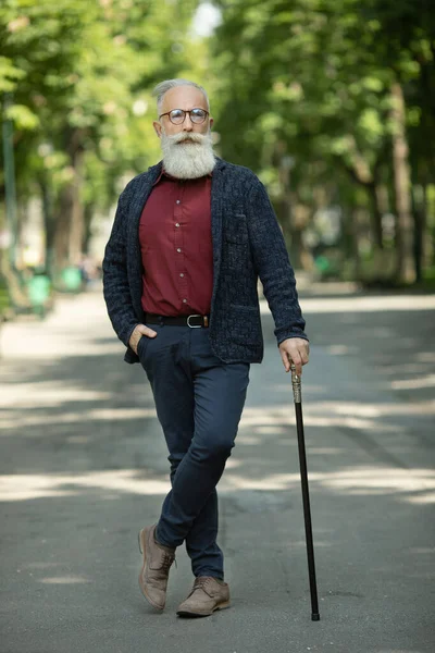 Content Senior Man Beard Wearing Glasses Outdoor — Stock Photo, Image