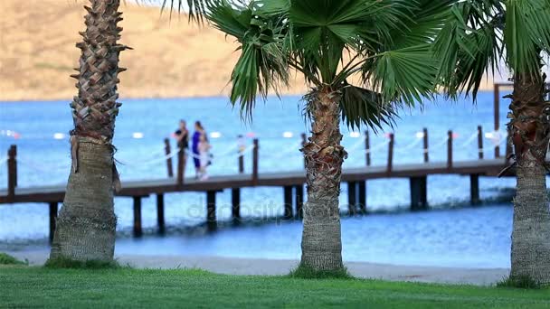 Mère et son fils en vacances d'été . — Video