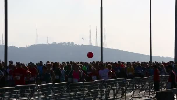 Corrida de maratona — Vídeo de Stock