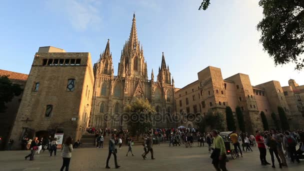 Catedral de Barcelona — Vídeos de Stock