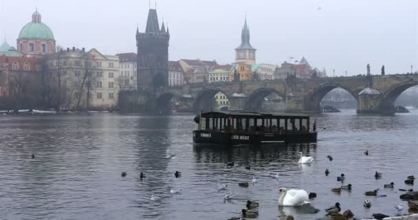 Charles Bridge παλιά πόλη Πράγα — Αρχείο Βίντεο