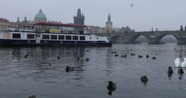 Charles Bridge Old Town-Praag — Stockvideo