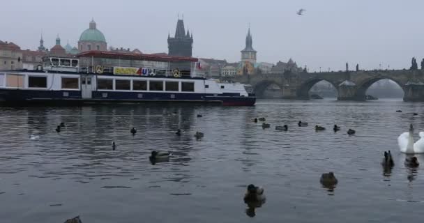 Charles Bridge παλιά πόλη Πράγα — Αρχείο Βίντεο