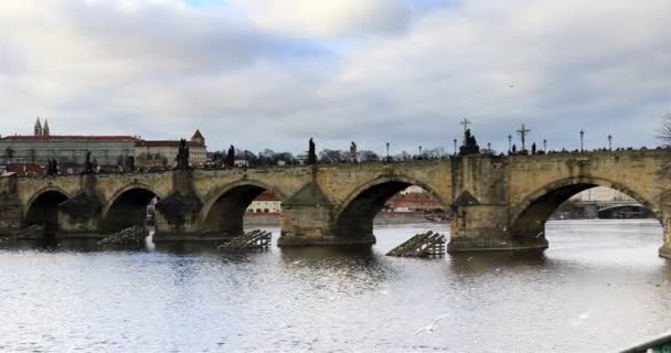 Charles Bridge Old Town Prague — Stockvideo