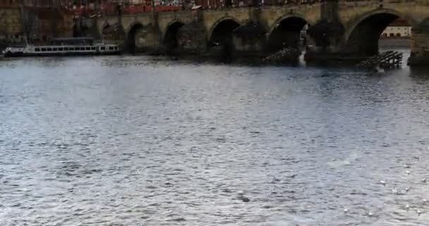 Charles Bridge Old Town Prague — Stockvideo